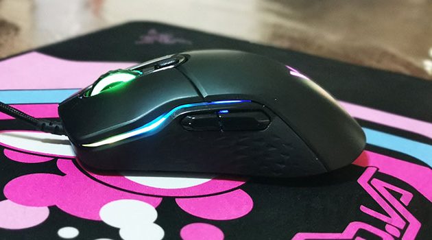 DAILY DRIVEN | Rapoo VPro VT200s Gaming Mouse