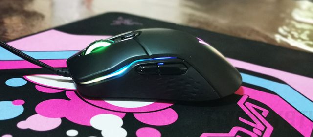 DAILY DRIVEN | Rapoo VPro VT200s Gaming Mouse