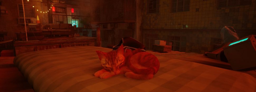 Stray Review: Why This Great Game Starring A Cat Is A Commentary On Humans